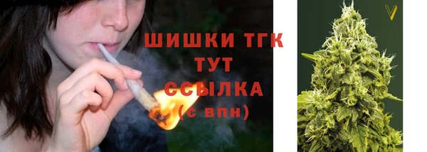 гидра Долгопрудный