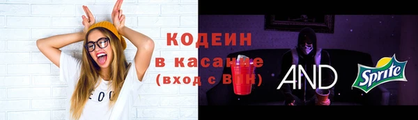 хмурый Лагань