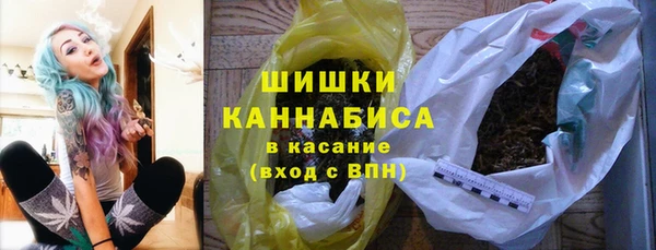 шишки Ладушкин
